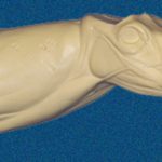 075N Buck Neck Forms