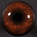 CT170J16 Javelina Eyes - 16 MM