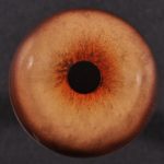 CT170CH26 Cheetah Eyes 26 MM