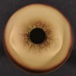 Cougar Eyes - 24 MM