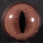 CT190S06 Snake Eyes - 6 MM