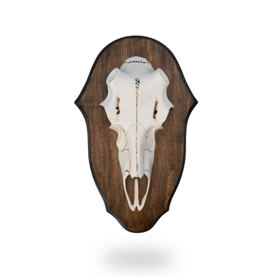 Black Forest Antler Mounting Plaque by Mountain Mike's