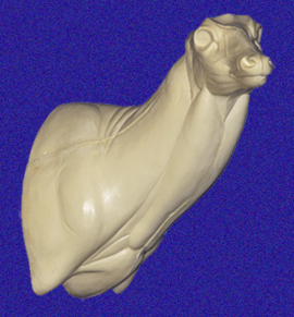 Apoxie Sculpt – 4 lb. Kit – Joe Coombs Classics, Inc.