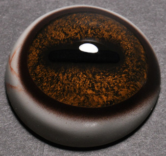 how to know front from back on joe meder deer eye jm32 how to know front from back on joe meder deer eye jm32