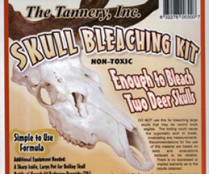 Skull Bleaching Kit