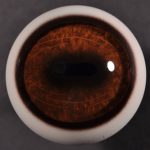 CTE250 36 Elk Eyes 36 MM