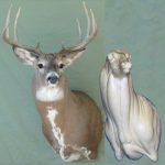 4-7124OL Offset Buck Shoulder