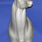 5-7120L Semi Upright Buck Shoulder