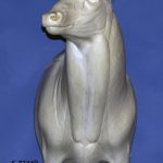 5-7324R Northern Whitetail • Semi Upright