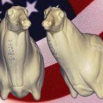 5-8026L Northern Semi Upright