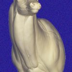 7-7020L Semi-Sneak Buck Shoulder