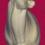 7-7021L Semi-Sneak Buck Shoulder