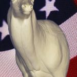 7-7022L Semi-Sneak Buck Shoulder