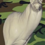 7-7023R Semi-Sneak Buck Shoulder