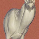 7-7024R Semi-Sneak Buck Shoulder