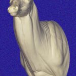 7-7119L Semi-Sneak Left Turn