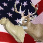 7-7121L Semi-Sneak Buck Shoulder