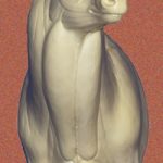 7-7124L Semi-Sneak Buck Shoulder