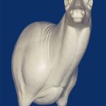 7-7322R Northern Semi Sneak Right Turn