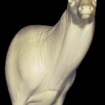 7-7323R Northern Semi Sneak