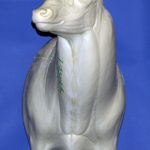 7-7324R Northern Semi Sneak