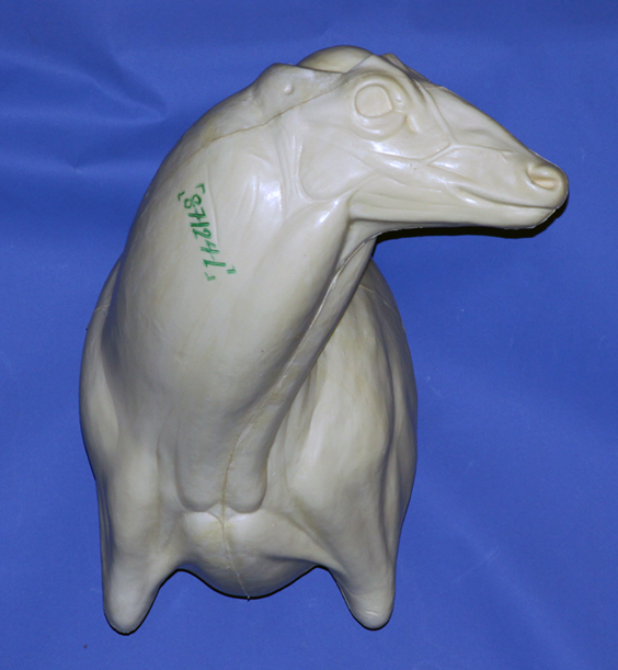 8-7124L Semi Sneak Sweep