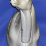 93-7018R Semi-Sneak Head Up