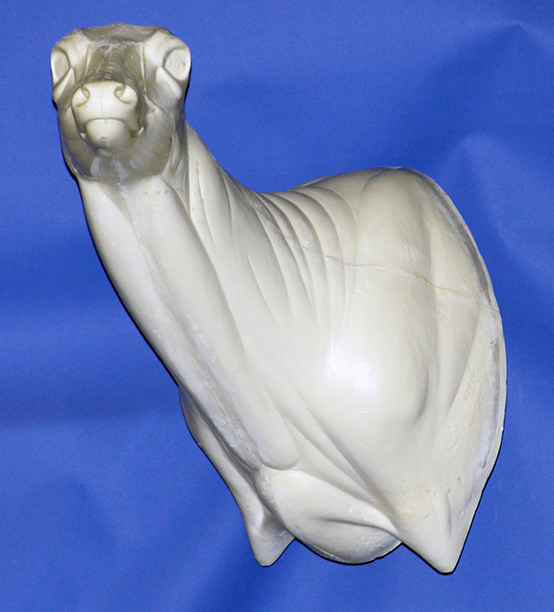 93-7018L Semi-Sneak Head Up