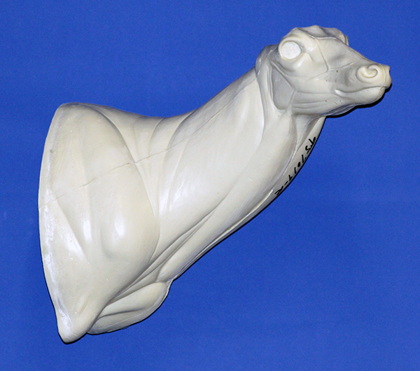 93-7019R Semi-Sneak Head Up