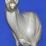 93-7019L Semi-Sneak Head Up