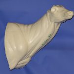 93-7021R Semi-Sneak Head Up