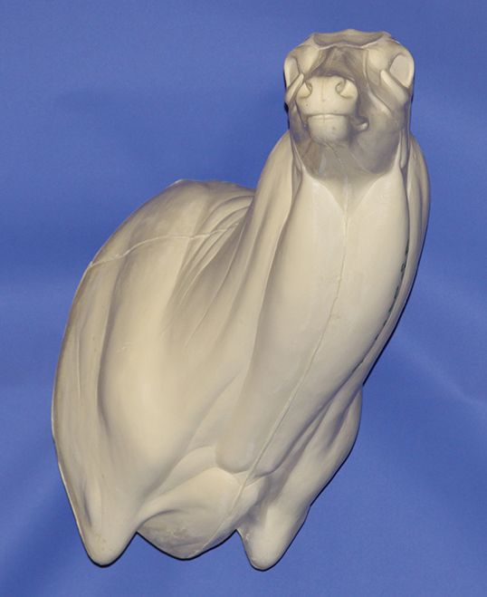 93-7022R Semi-Sneak Head Up