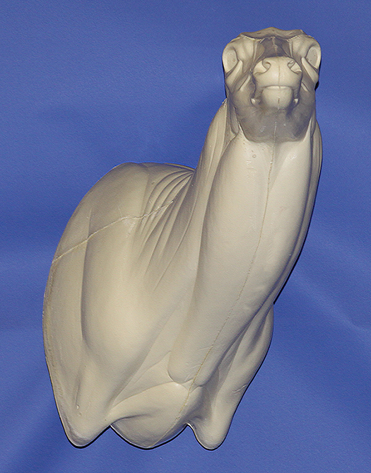 93-7221R Semi-Sneak Head Up