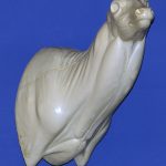 93-7222R Semi-Sneak Head Up