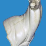 94-7021R Full Wall Pedestal