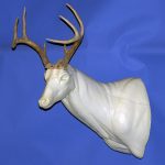 96-7020L Semi Sneak Head Down