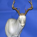 96-7020R Semi Sneak Head Down