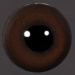 Acrylic Dark Brown 7 MM