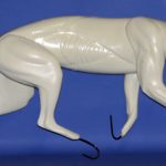 BC1422 Bobcat - Brian Harness