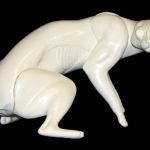 BC1633 Bobcat - Brian Harness