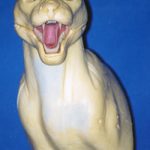 BC2 Bobcat Shoulder - Joe Coombs