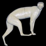 BC31 Bobcat - Peter Knapton