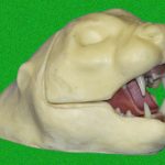 BC3 Bobcat Rugshell - Joe Coombs