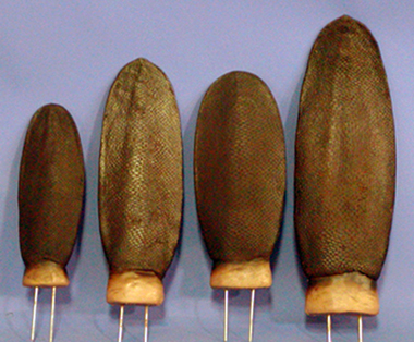 BT03 Beaver Tail - Medium / Wide