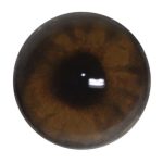 BR18 Bear No Band 18 MM