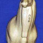 C016 High Buck Shoulder Upright