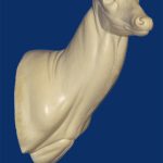 C062 Semi Upright - Buck Shoulder