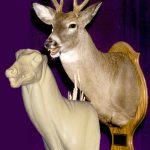 C066 Open mouth Specialty