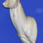 C074 Upright Buck Shoulder