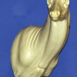 C080 Offset Semi-Up Buck Shoulder